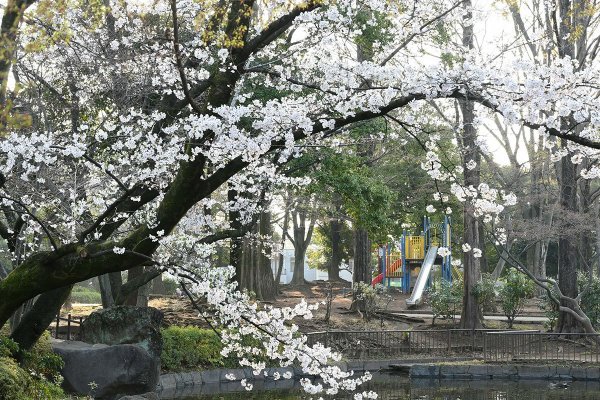 （撮影：2026年３月29日）