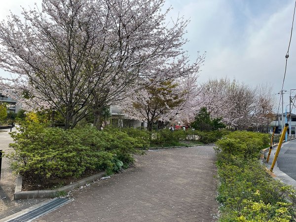 （撮影：2026年３月30日）