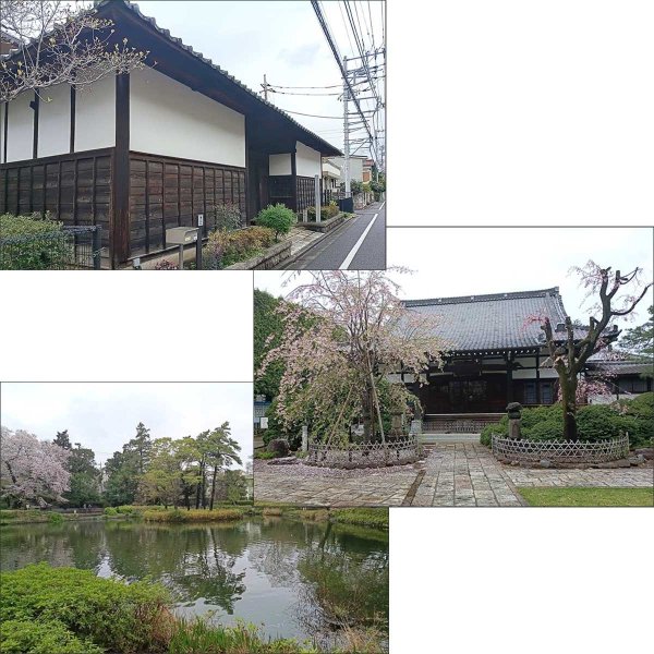 嘉陵の歩いた井草を現代に伝える風景（長屋門、妙正寺、妙正寺池）