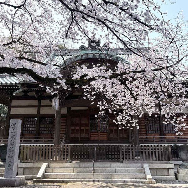 春の風景（撮影：2026年３月29日）