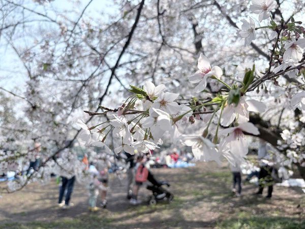 （撮影：2026年３月29日）