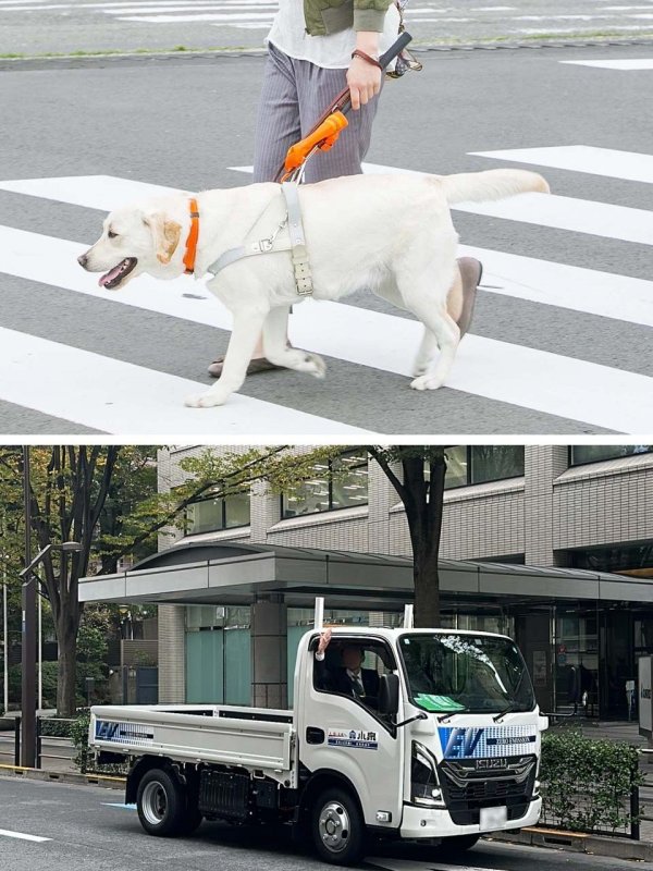 上：歩行中の盲導犬、下：電気自動車の導入（写真提供：株式会社 小泉）
