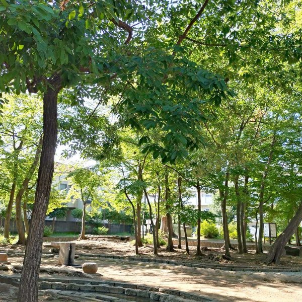 雑木林の間を縫うように、長い流れが続く