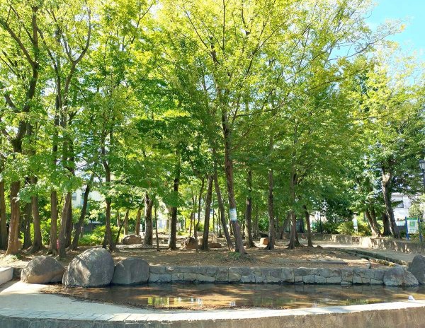 木陰と水場は、夏でも涼しく過ごせる