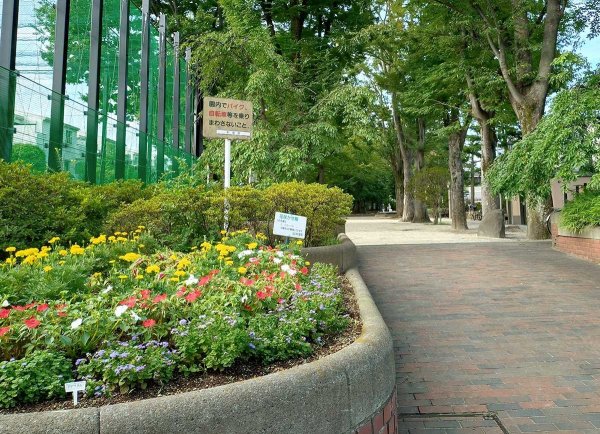 公園の北側の入り口はバリアフリー
