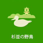 杉並の野鳥