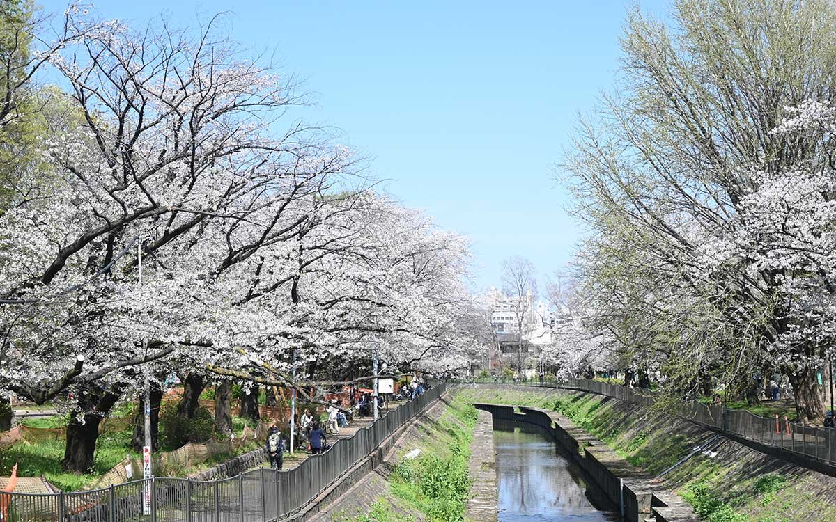 尾崎橋からの眺め（撮影：2026年４月３日 金曜日）