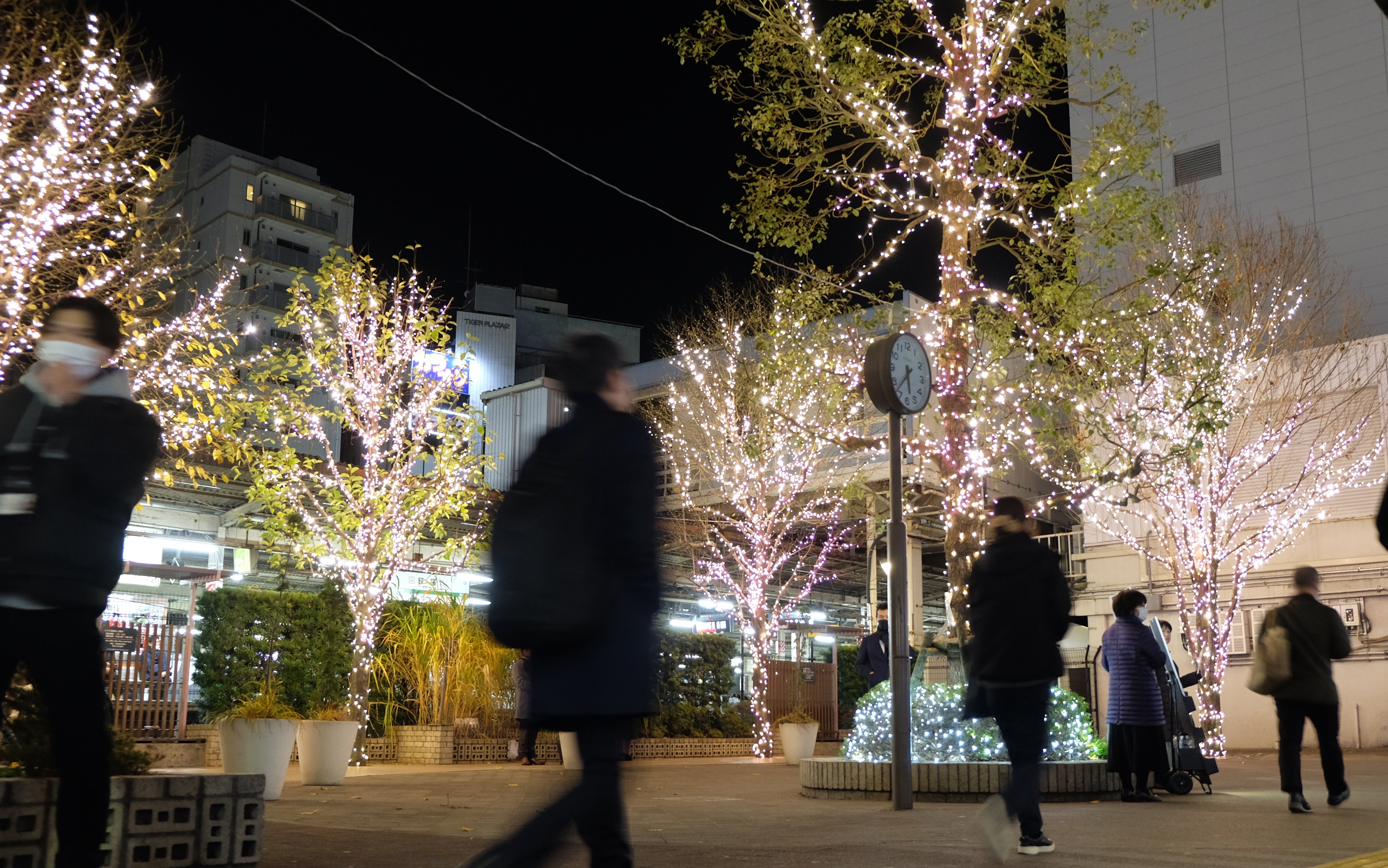 荻窪イルミネーション（撮影：2023年）