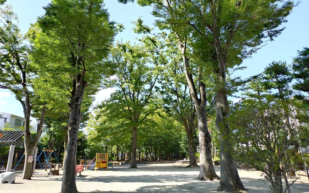 雑木林を散歩したり、木陰で休んだり。みんなが心地よく過ごせる公園