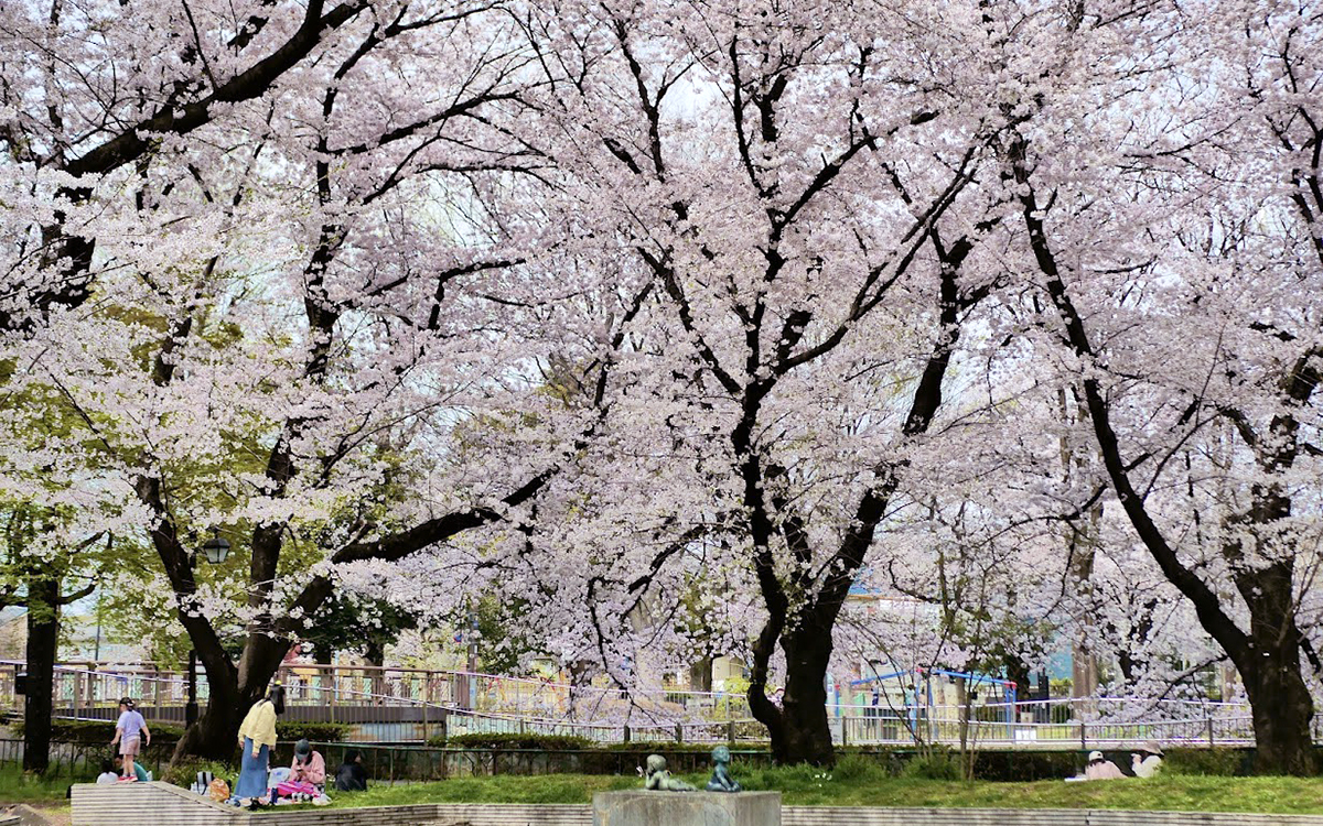 はらっぱ広場（撮影：2022年3月31日）