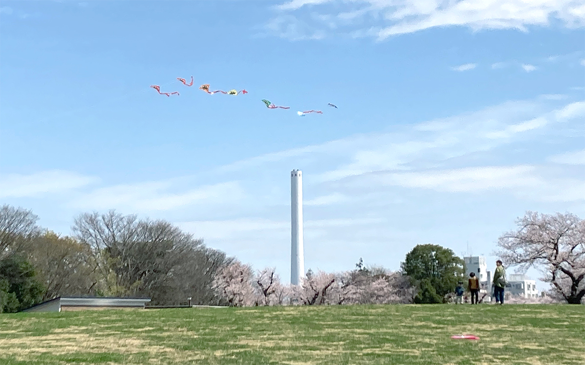 芝生広場ではたこ揚げも楽しめる