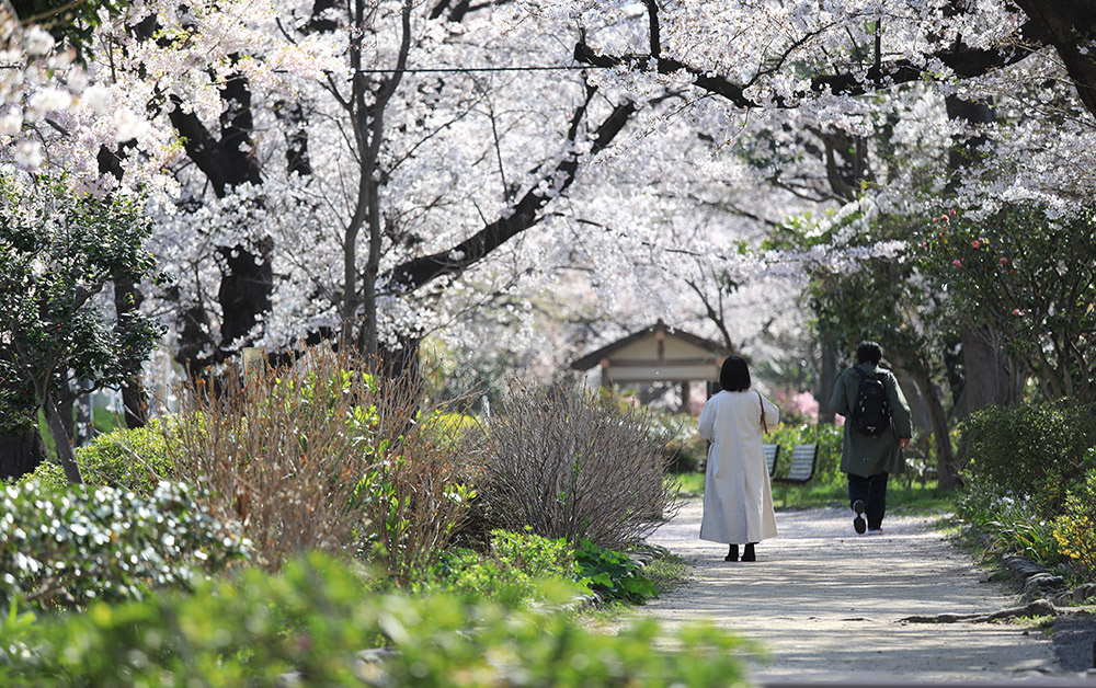 （撮影：2021年３月26日）