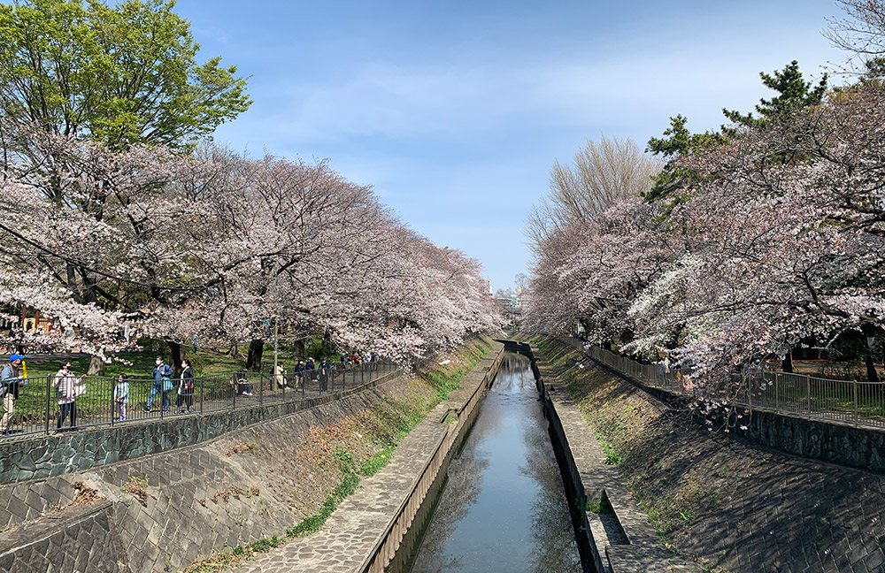 尾崎橋からの眺め（撮影：2021年３月27日）