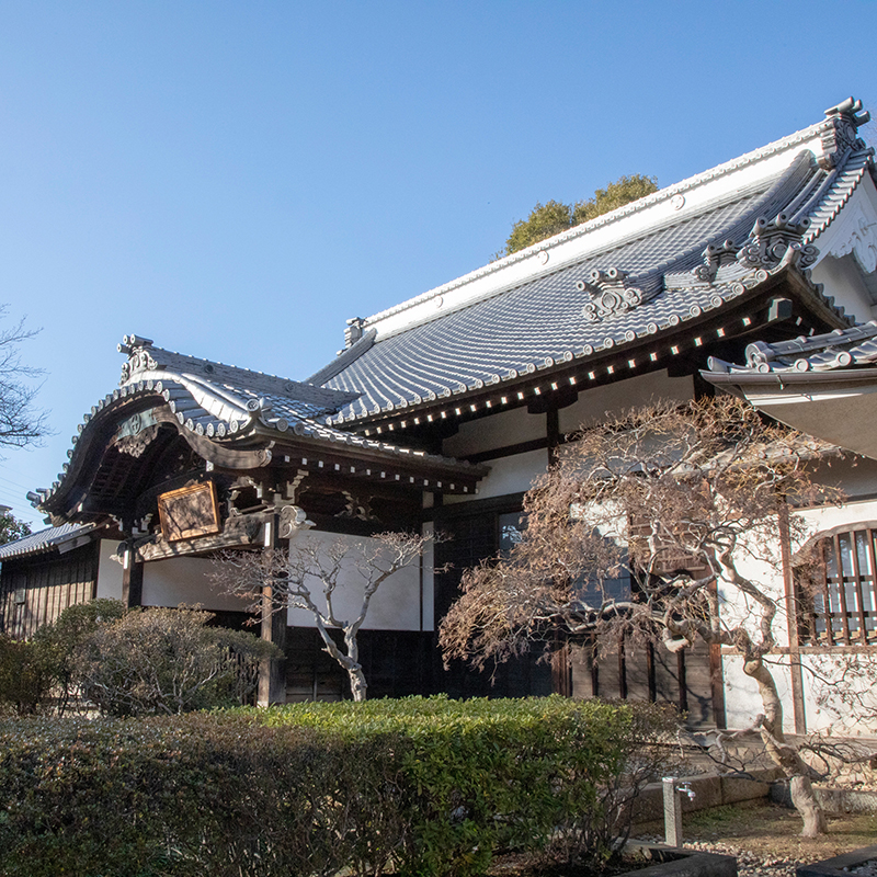 大圓寺 大円寺 すぎなみ学倶楽部