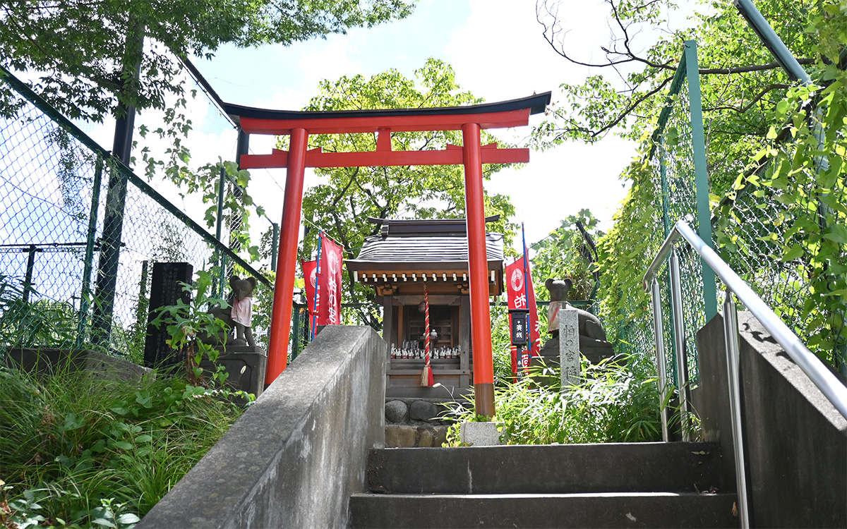 階段を上った高台に社殿がある