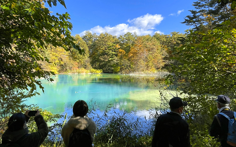 五色沼。エメラルドグリーンの水面が美しい