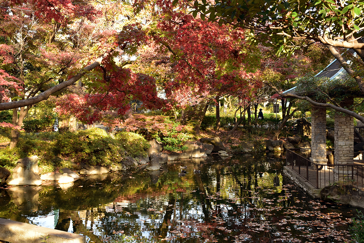 杉並区立馬橋公園