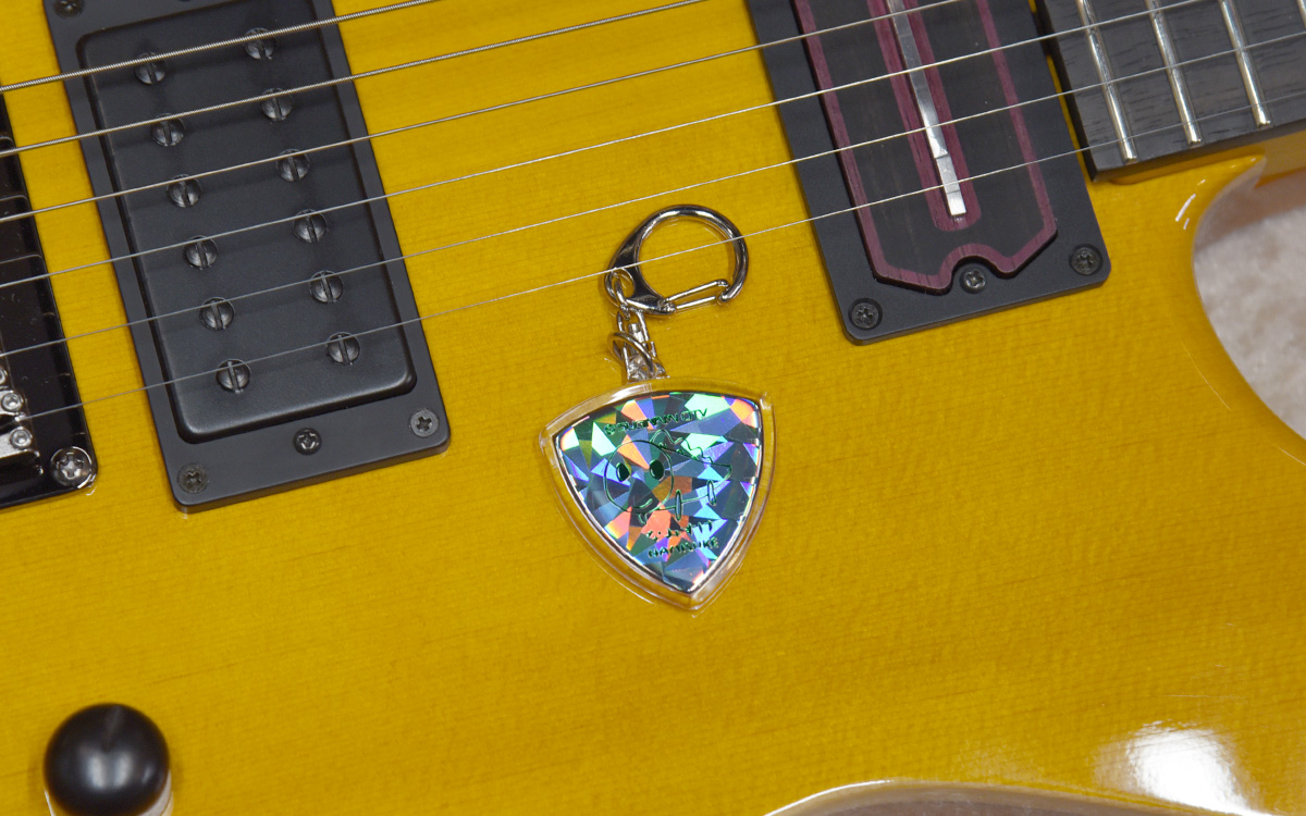 ギタリストはもちろん、音楽好きのなみすけファン注目のアイテム