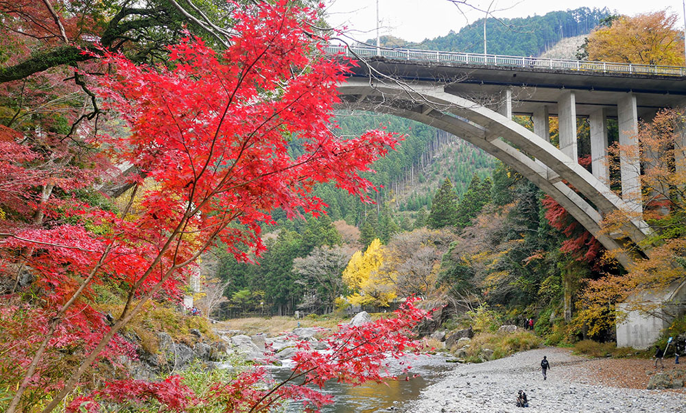 晩秋の御岳橋