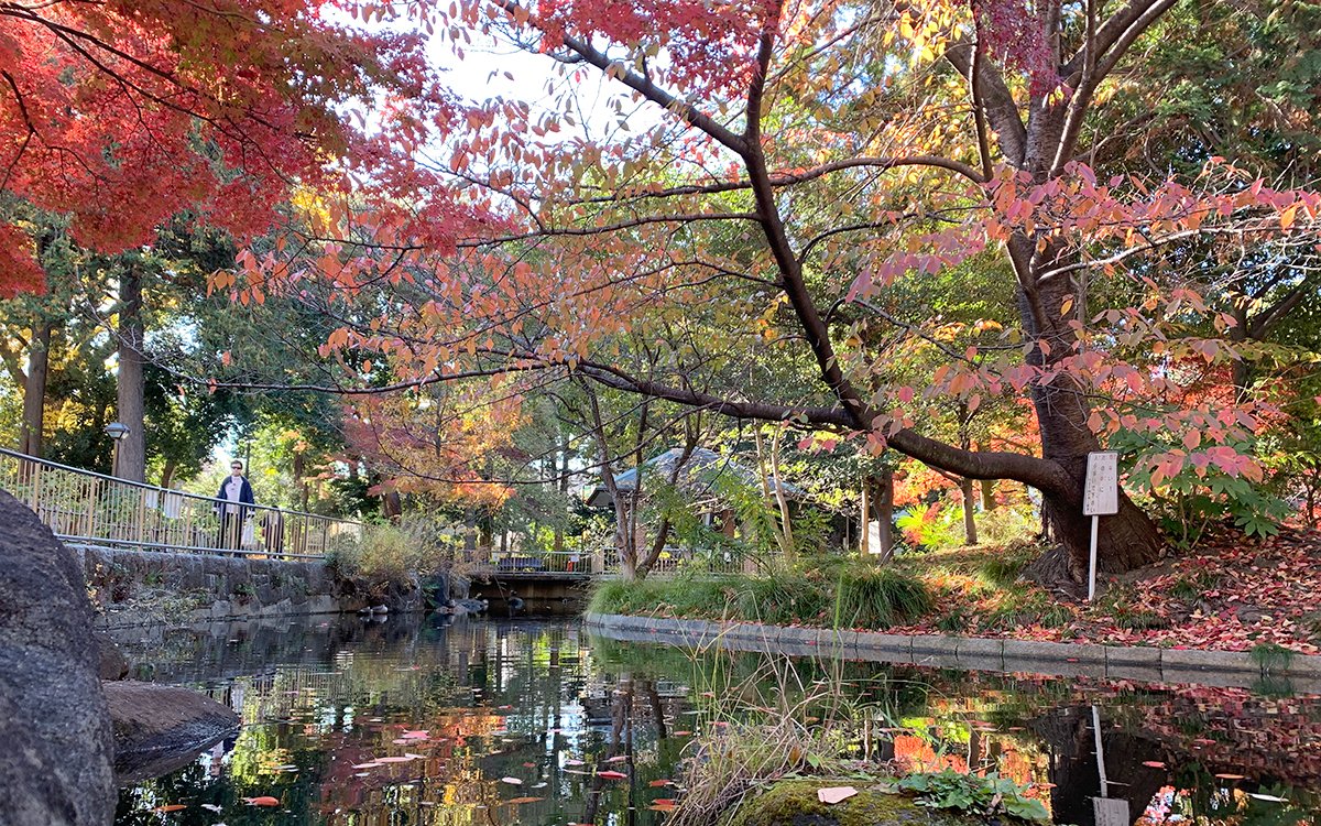 杉並区立蚕糸の森公園