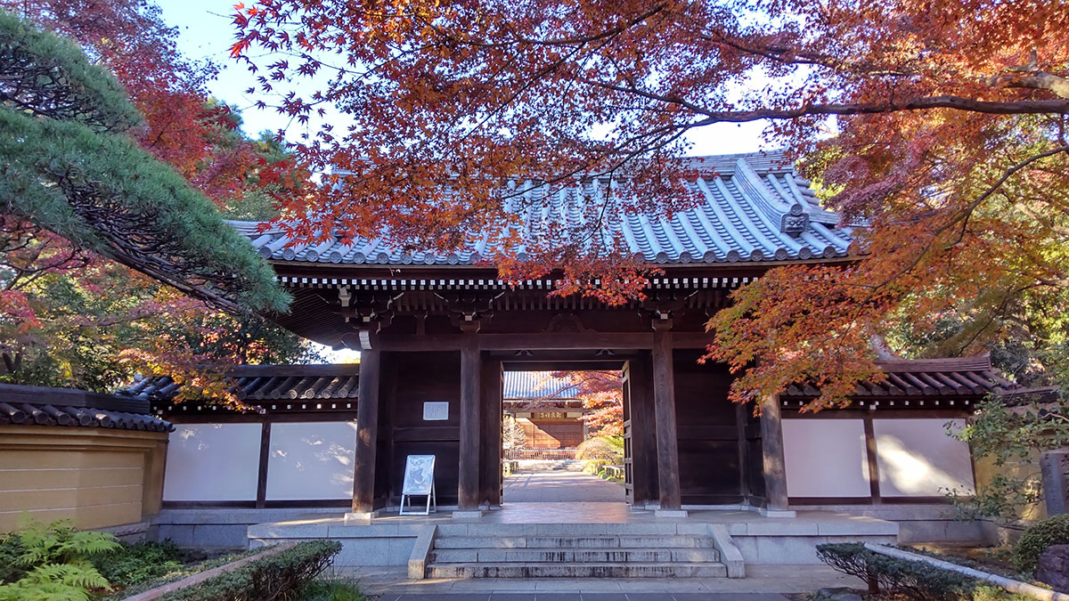 今川氏ゆかりの観泉寺の山門。秋の紅葉がこの上なく美しい