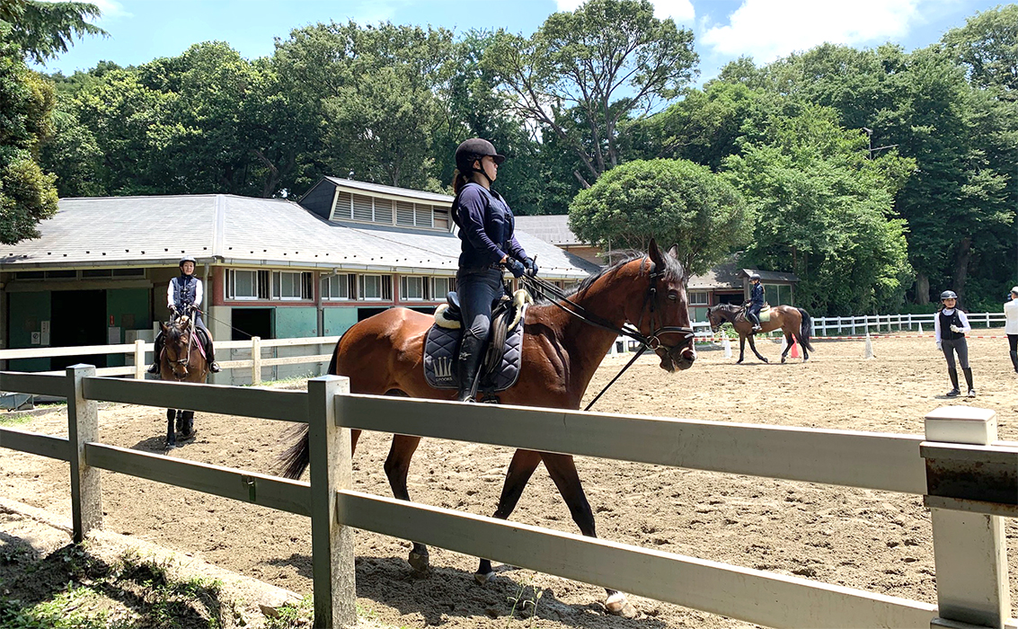 乗馬 すぎなみ学倶楽部