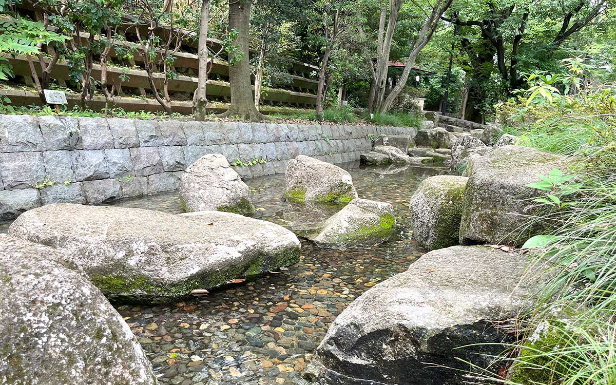 東京都交通局の大和寮跡地にできた公園。細長い流れが続く