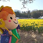 画像:GWのお出かけ候補<br>交流自治体へ小旅行