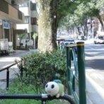 画像:夜ドラ「ひらやすみ」の聖地巡礼！