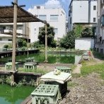 画像:ドラマ「ひらやすみ」放送開始!