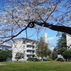 画像:杉並にかつてあった名建築を知る