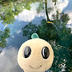 画像:なみすけがお出掛け<br>杉並の交流自治体♪