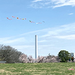 画像:広い芝生の公園で<br>思いっきり遊ぼう！