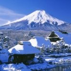 画像:交流自治体の歴史や魅力を紹介